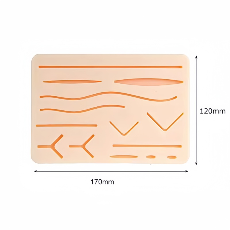 1-2Set Medical Students Suture - đánh giá và giá Model Kit Tool Set