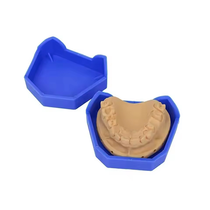 2/6Pcs Dental Model Base Silic - đánh giá và giá Model Kit Tool Set