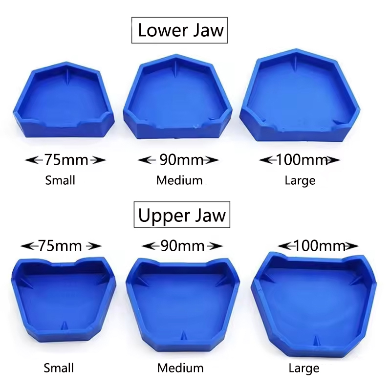 2/6Pcs Dental Model Base Silic - đánh giá và giá Model Kit Tool Set