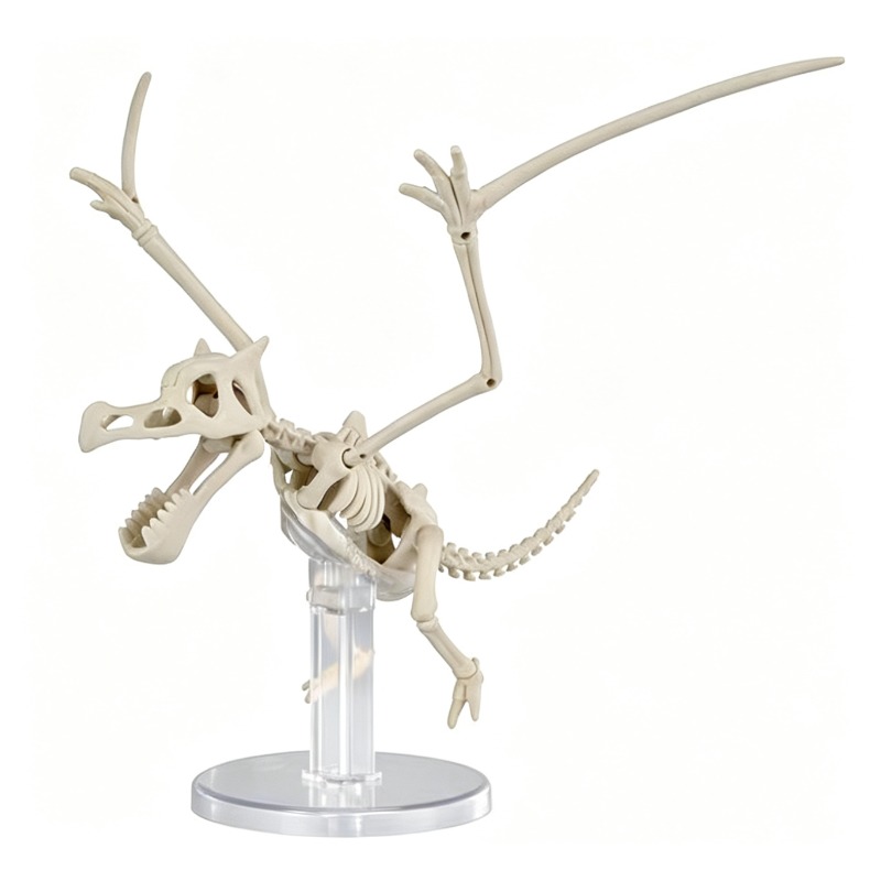 Bandai Pokemon Plastic Model D - đánh giá và giá Model Kit Kyogre